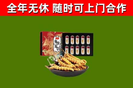隆化回收冬虫夏草价格